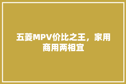 五菱MPV价比之王，家用商用两相宜