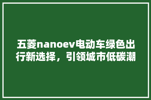 五菱nanoev电动车绿色出行新选择，引领城市低碳潮流