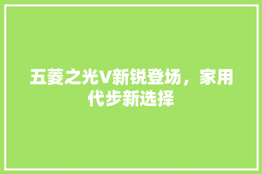 五菱之光V新锐登场，家用代步新选择