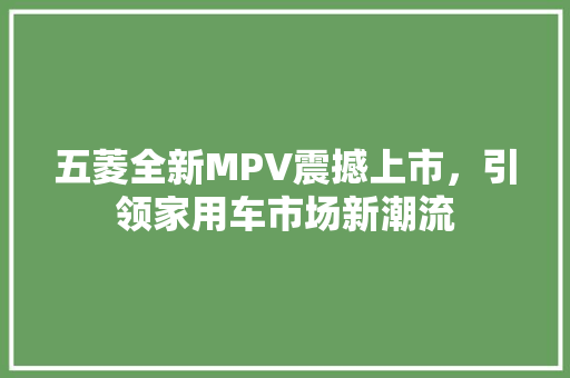 五菱全新MPV震撼上市，引领家用车市场新潮流
