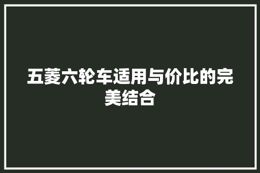 五菱六轮车适用与价比的完美结合