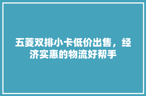 五菱双排小卡低价出售，经济实惠的物流好帮手