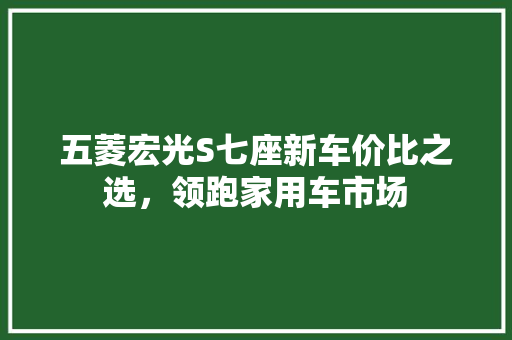 五菱宏光S七座新车价比之选，领跑家用车市场