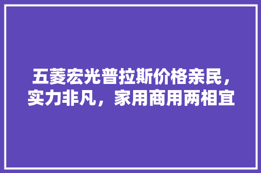 五菱宏光普拉斯价格亲民，实力非凡，家用商用两相宜