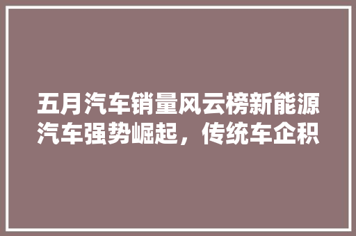 五月汽车销量风云榜新能源汽车强势崛起，传统车企积极转型