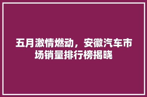 五月激情燃动，安徽汽车市场销量排行榜揭晓