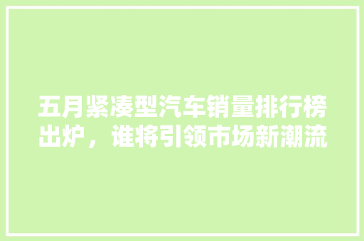 五月紧凑型汽车销量排行榜出炉，谁将引领市场新潮流