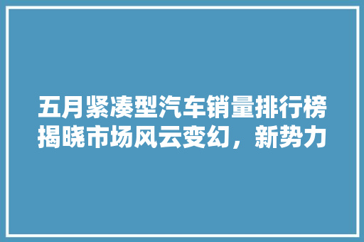 五月紧凑型汽车销量排行榜揭晓市场风云变幻，新势力崛起