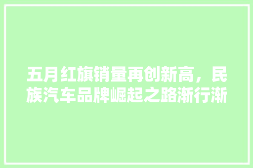 五月红旗销量再创新高，民族汽车品牌崛起之路渐行渐稳