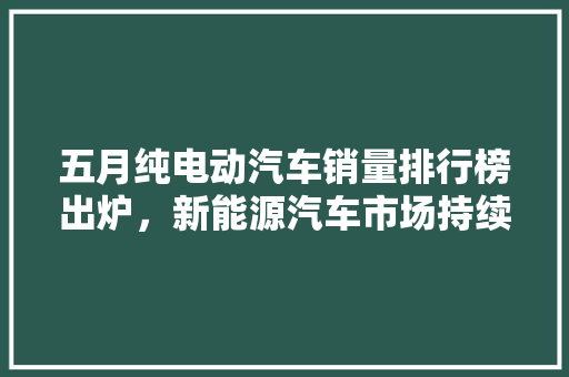 五月纯电动汽车销量排行榜出炉，新能源汽车市场持续升温