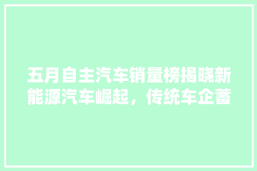 五月自主汽车销量榜揭晓新能源汽车崛起，传统车企蓄势待发