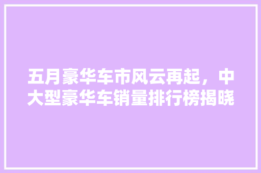 五月豪华车市风云再起，中大型豪华车销量排行榜揭晓