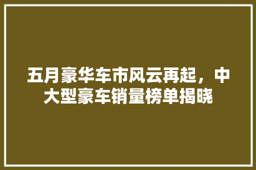 五月豪华车市风云再起，中大型豪车销量榜单揭晓