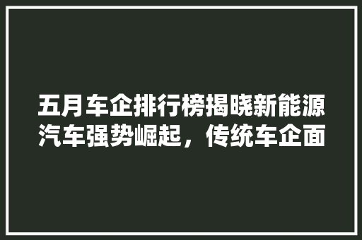 五月车企排行榜揭晓新能源汽车强势崛起，传统车企面临挑战