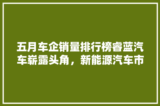 五月车企销量排行榜睿蓝汽车崭露头角，新能源汽车市场再掀热潮