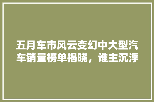 五月车市风云变幻中大型汽车销量榜单揭晓，谁主沉浮