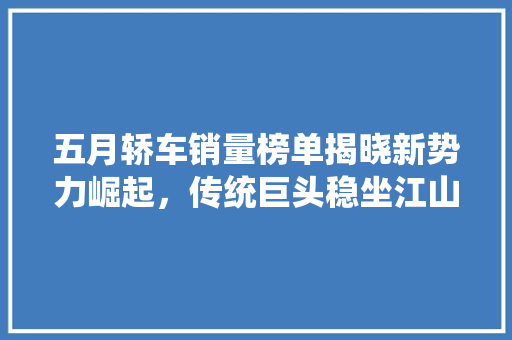 五月轿车销量榜单揭晓新势力崛起，传统巨头稳坐江山