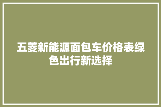 五菱新能源面包车价格表绿色出行新选择