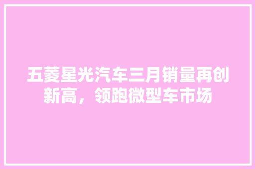 五菱星光汽车三月销量再创新高，领跑微型车市场
