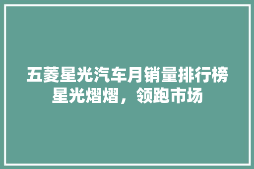 五菱星光汽车月销量排行榜星光熠熠，领跑市场