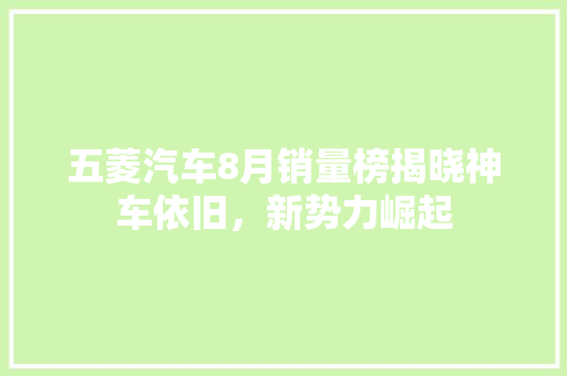 五菱汽车8月销量榜揭晓神车依旧，新势力崛起