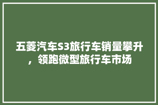 五菱汽车S3旅行车销量攀升，领跑微型旅行车市场
