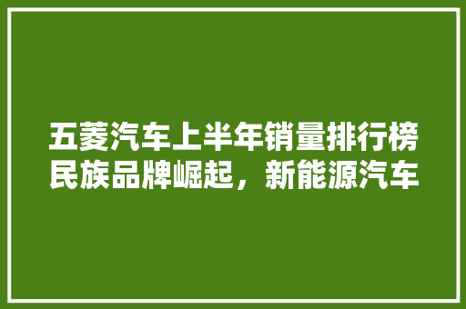 五菱汽车上半年销量排行榜民族品牌崛起，新能源汽车引领新潮流