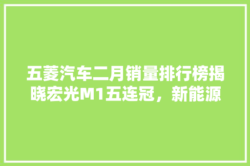 五菱汽车二月销量排行榜揭晓宏光M1五连冠，新能源汽车异军突起