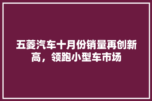五菱汽车十月份销量再创新高，领跑小型车市场