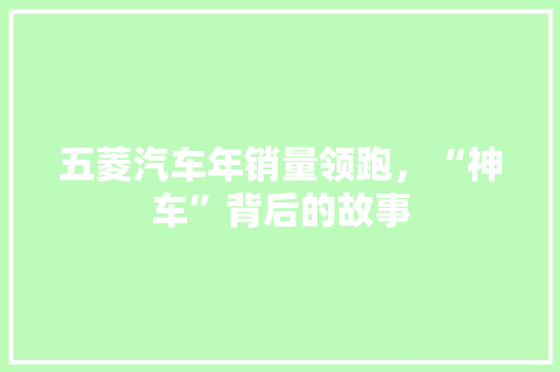 五菱汽车年销量领跑，“神车”背后的故事