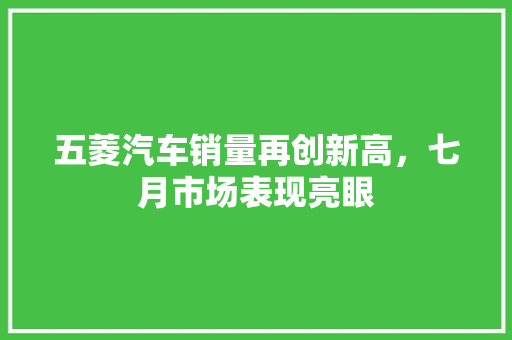 五菱汽车销量再创新高，七月市场表现亮眼