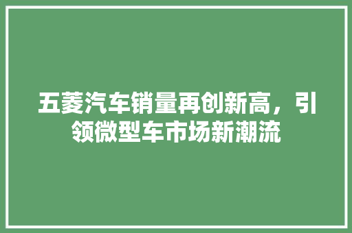 五菱汽车销量再创新高，引领微型车市场新潮流