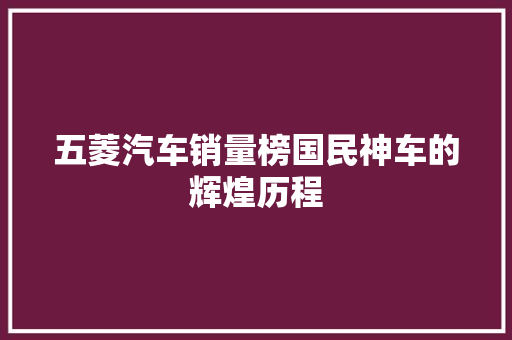 五菱汽车销量榜国民神车的辉煌历程