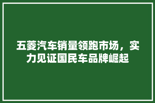 五菱汽车销量领跑市场，实力见证国民车品牌崛起