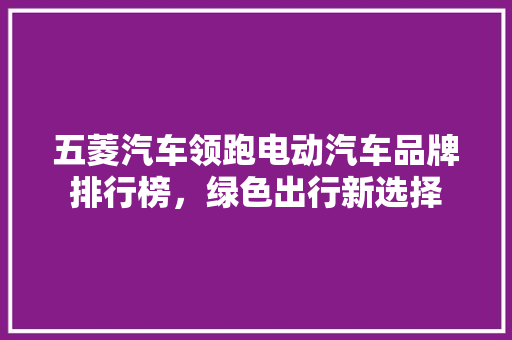 五菱汽车领跑电动汽车品牌排行榜，绿色出行新选择