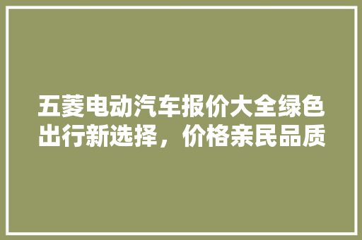 五菱电动汽车报价大全绿色出行新选择，价格亲民品质可靠