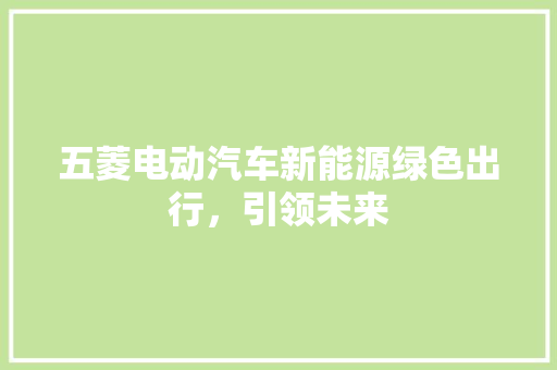 五菱电动汽车新能源绿色出行，引领未来