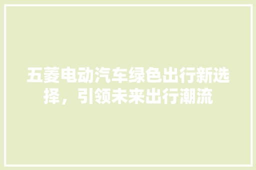 五菱电动汽车绿色出行新选择，引领未来出行潮流