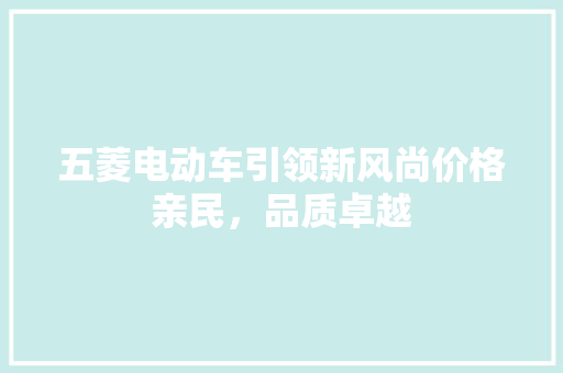 五菱电动车引领新风尚价格亲民，品质卓越