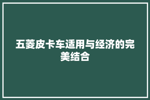 五菱皮卡车适用与经济的完美结合
