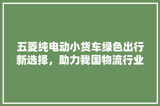 五菱纯电动小货车绿色出行新选择，助力我国物流行业转型升级
