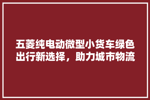 五菱纯电动微型小货车绿色出行新选择，助力城市物流转型