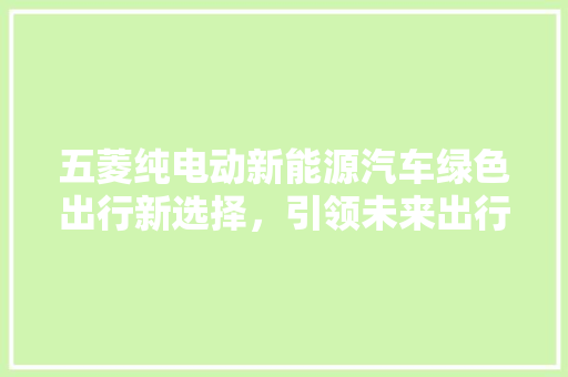 五菱纯电动新能源汽车绿色出行新选择，引领未来出行潮流