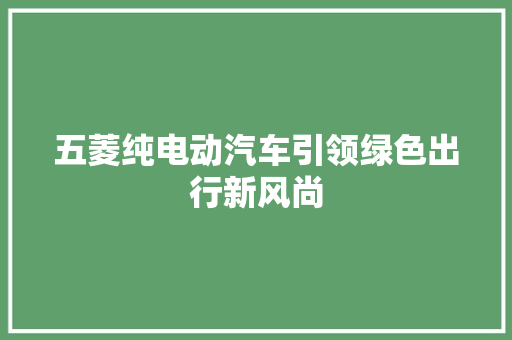 五菱纯电动汽车引领绿色出行新风尚