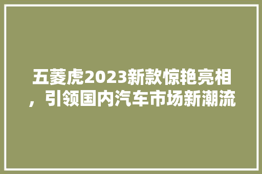 五菱虎2023新款惊艳亮相，引领国内汽车市场新潮流