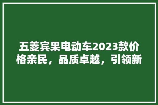 五菱宾果电动车2023款价格亲民，品质卓越，引领新能源出行新风尚