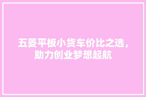 五菱平板小货车价比之选，助力创业梦想起航