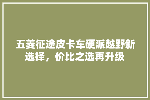 五菱征途皮卡车硬派越野新选择，价比之选再升级