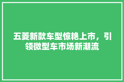 五菱新款车型惊艳上市，引领微型车市场新潮流