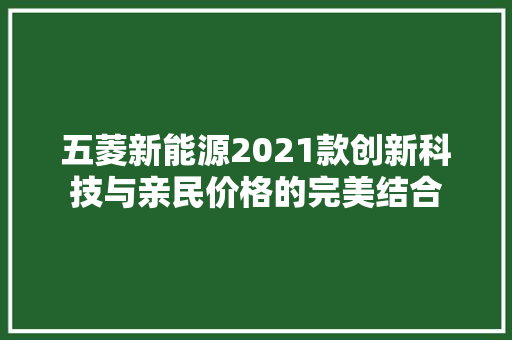 五菱新能源2021款创新科技与亲民价格的完美结合